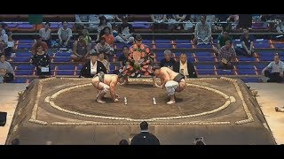 Terunofuji 照ノ富士 v Keitenkai Sumo Day 9 Nagoya 2019 [upl. by Gibbs]