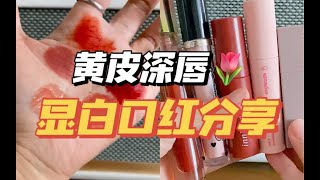 黄黑皮天菜口红｜显白王者 闭眼入不踩雷 [upl. by Etteinotna]