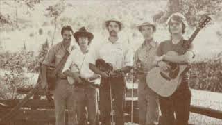 Texas Gals by The Plank Road Stringband 1976 [upl. by Eissolf]