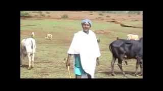 Best Gojjam Song of the Year 2011 solomon Demissie [upl. by Merrel167]