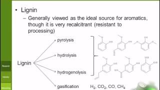 Lignin [upl. by Madaras]