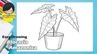 Easy Drawing Alocasia Amazonica [upl. by Abehshtab]