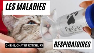 Les maladies respiratoires chez les chiens les chats et les rongeurs [upl. by Aden]