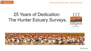 Hunter estuary bird surveys 25th anniversary [upl. by Strong]