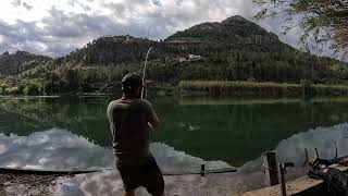 Fishing Carp amp Catfish Runs Compilation  River Ebro 2024 [upl. by Amilb327]