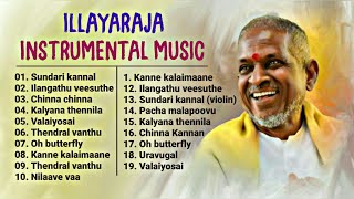 Ilayaraja Instrumental Music amp BGMs  ilayaraja instrumental music collectionFlute Violin veenai [upl. by Jarid200]