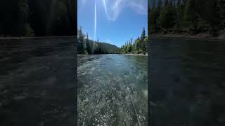 Swinging fies for Atlantic Salmon on the Gaspe Fly Fishing fishing flyfishing flyfisherman [upl. by Kcinimod]