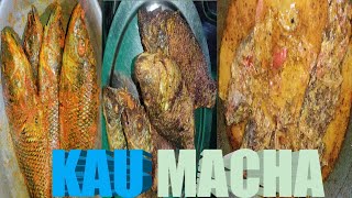 Kau Macha Mustard Seeds RecipeMamata Cooking [upl. by Alexis956]