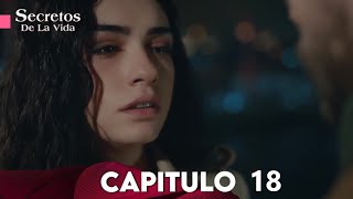 Secretos De La Vida Capítulo 18 Doblado En Español [upl. by Tarr]