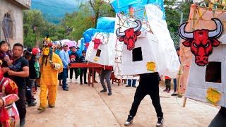 Toritos en Petatán Huehuetenango 2023 [upl. by O'Callaghan]