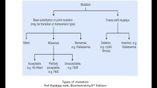 Types of Mutations Point Mutations and Frameshift Mutations  Mutations In Genetics [upl. by Platto]