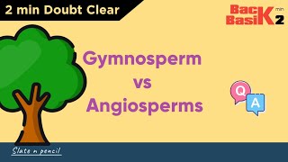 Angiosperms Vs Gymnosperms  Quick 2 min Comparison  Basic Concept  Slate and Pencil [upl. by Drofkcor]