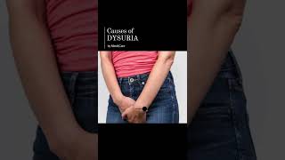 Causes of Dysuria [upl. by Jenny]