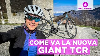 Come va la nuova Giant TCR 2024 [upl. by Akimrehs158]