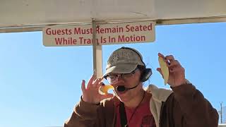 Tram Tour at Turpentine Creek Wildlife Refuge  Eureka Springs Arkansas [upl. by Iuqcaj]