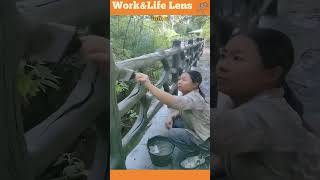 An artisan crafts a wooden railing lookalike by moulding concrete over a meshtaped metal frame [upl. by Einneg]