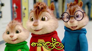 නලෝලා  Nalola  Dimanka wellalage new song  Chipmunks version song  Nalola lyrics video [upl. by Gill]