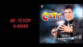 Coty Hernandez  Te voy a amar  Cumbia Santafesina [upl. by Markos]