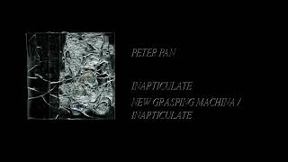 New Grasping Machina  Inarticulate  New Grasping Machina  Inarticulate Full Cassette Rip [upl. by Annuahsal647]