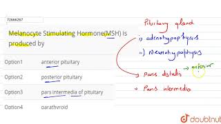 Melanocyte Stimulating HormoneMSH is produced by [upl. by Anees880]