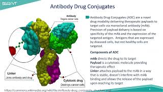 Safety Considerations for the Development of Antibody Drug Conjugates [upl. by Doersten]