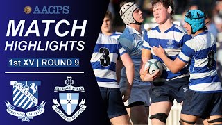 Riverview vs Kings  AAGPS Round 9 2024  1st XV Highlights [upl. by Ludewig29]