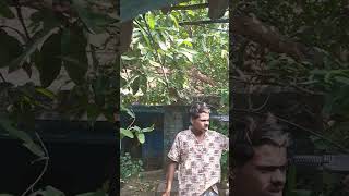 Mithun da dialogue shpat movie shortvideo trending dialogue [upl. by Smitt]