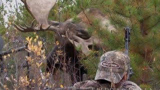 World Record Moose Shot [upl. by Hailee348]