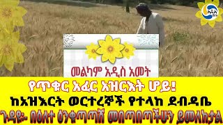 የጥቁር አፈር አዝርእት ሆይ፤ከአዝእርት ወርተረኞች የተላከ ደብዳቤ፤ጉዳዩ፡ በዕለተ ዕንቁጣጣሽ መበጣበጣችሁን ይመለከታል Ethiopian New Year [upl. by Hnil]