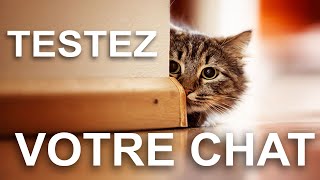 TESTEZ VOTRE CHAT [upl. by Bunce]