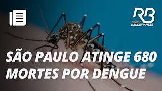 São Paulo registra 680 mortes por dengue com mais de 1 milhão de casos  O Pulo do Gato [upl. by Giesecke]