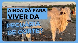 Vale a pena viver da PECUÁRIA DE CORTE Assista aqui completo e entenda o CICLO PECUÁRIO [upl. by Nilra]