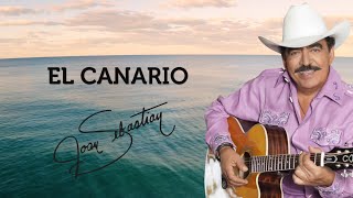 EL CANARIO LYRIC VIDEO OFICIAL [upl. by Elynad589]