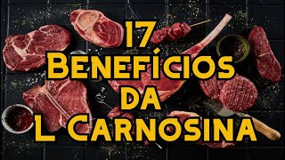 17 Benefícios da L Carnosina [upl. by Doner794]