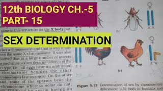 Class 12 biology chapter 5part 15sex determinationby study with Farru [upl. by Aicel]