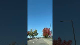 Autumn 🍂 2024 Quebec Canada 🍁 driving fypyoutube vlog travel sky cityroad citytrips street [upl. by Airot35]