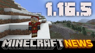 Whats New in Minecraft Java Edition 1165 [upl. by Ellemaj]