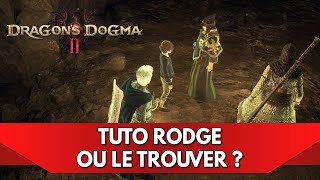 Dragons Dogma 2 Tuto FR  Rodge où le Trouver [upl. by Olsson199]