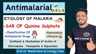 Antimalarial  Etiology of Malaria  SAR of quinine sulphate  chloroquine amp Pamaquine Synthesis [upl. by Grondin387]