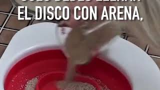 Ensinando o gato a usar o vaso sanitário  Fãs de Gatos [upl. by Airetahs]