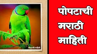 Popat Chi Mahiti Marathiपोपटाची मराठी माहिती Parrot Information In Marathi Language kuberclasses [upl. by Erimahs682]