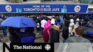 Blue Jays other MLB teams profit from StubHub ticket scalping [upl. by Verity]