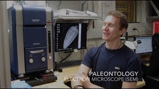 Scanning Electron Microscope SEM [upl. by Morty]