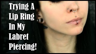 Trying a LIP RING In My Labret Piercing  First Time [upl. by Suhsoj335]