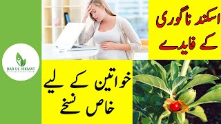 Askan Asgand nagori k faidy  Winter cherry benefits  UrduHindi  Dar ul Hikmat Urdu  DUH [upl. by Eiramlirpa]