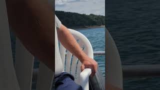 Helicopter pulls backflip over Lake Cumberland [upl. by Estis]