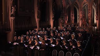 Barber  AGNUS DEI arr Adagio for Strings  Laurens Symfonisch  LIVE [upl. by Mariel825]