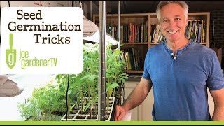 Seed Germination  Easy Tricks for More Success [upl. by Morganstein]