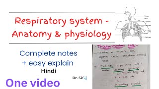 Complete Respiratory System  Anatomy amp Physiology notes in one video  hindi  easy explanation [upl. by Enninaej]