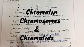 What is the difference between Chromatin chromosomes and chromatids [upl. by Montford]